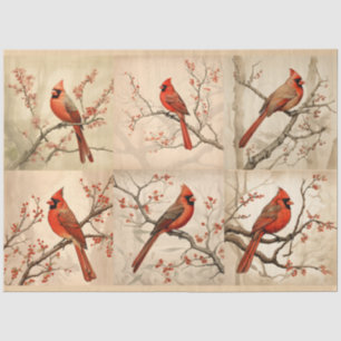Papier Mousseline Une série cardinale rouge Design 2