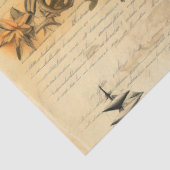 Papier Mousseline Une série nautique merdique 5 (Détail)