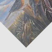 Papier Mousseline USA Robins (Détail)