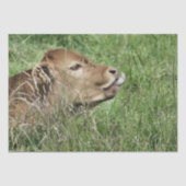 PAPIER MOUSSELINE VACHE (Recto)