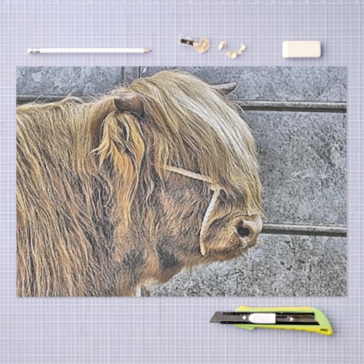 PAPIER MOUSSELINE VACHE (Artisanat)