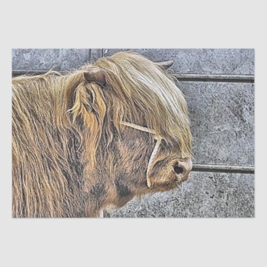 PAPIER MOUSSELINE VACHE (Recto)