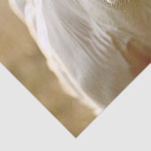 Papier Mousseline Vache blanche dans le dédécoupage de champ de ferm (Détail)