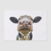 Papier Mousseline Vache Cuire Animal de ferme (Recto)