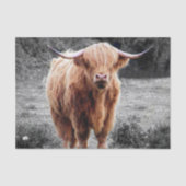 Papier Mousseline Vache des Highlands Écosse Rustique (Recto)