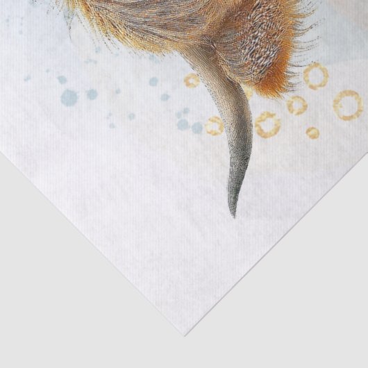 Papier Mousseline Vache écossaise Highlander (Détail)