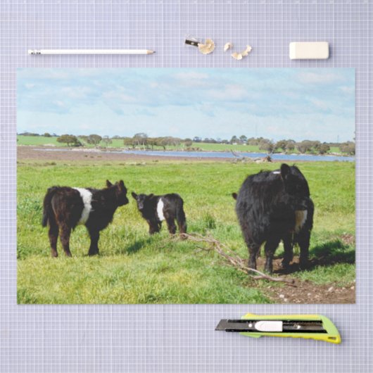 Papier Mousseline Vache Galloway, Papier Tissu (Artisanat)