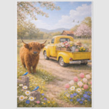 Vache highlandaise de printemps