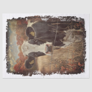 Papier Mousseline Vache Lait Lait Holstein Friesian