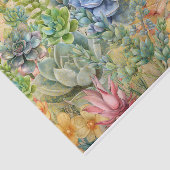 Papier Mousseline Variété de succulentes (Détail)