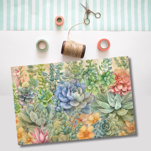 Papier Mousseline Variété de succulentes