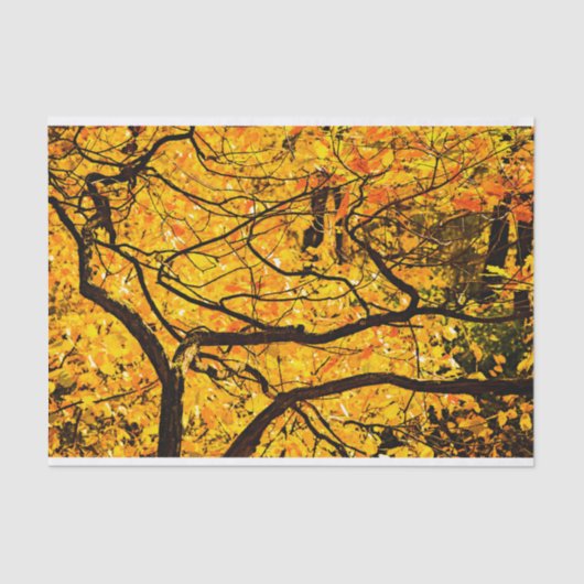 Papier Mousseline Veines D'Or De L'Automne (Recto)