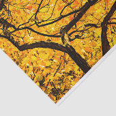 Papier Mousseline Veines D'Or De L'Automne (Détail)