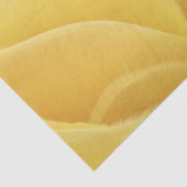 Papier Mousseline Veloura Soleil (Détail)
