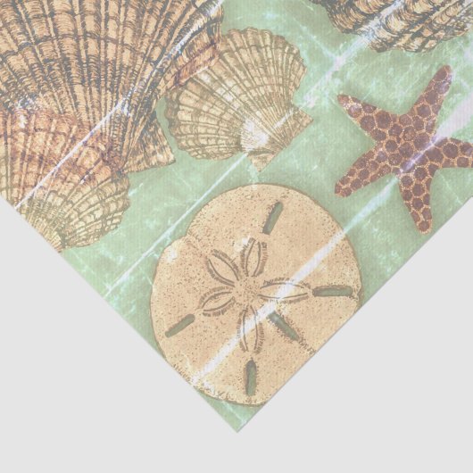 Papier Mousseline Vendredi Seashells (Détail)