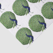 Papier Mousseline Ventilateur Open Peacock (Détail)