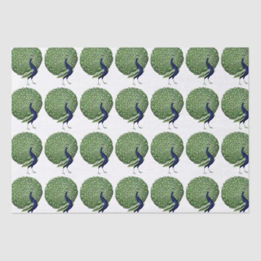 Papier Mousseline Ventilateur Open Peacock (Recto)