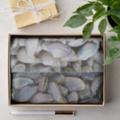 Papier Mousseline Venus Clam [ห อ ย ล า ย] (Cadeau)