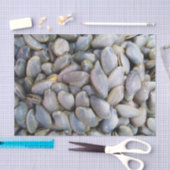 Papier Mousseline Venus Clam [ห อ ย ล า ย] (Artisanat)