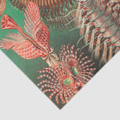 Papier Mousseline Vers, Annelids Chaetopoda par Ernst Haeckel (Détail)