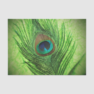 Papier Mousseline Vert de chaux de paon