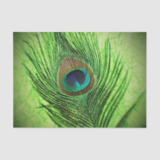 Papier Mousseline Vert de chaux de paon (Recto)