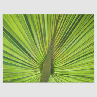 Papier Mousseline Vert tropical