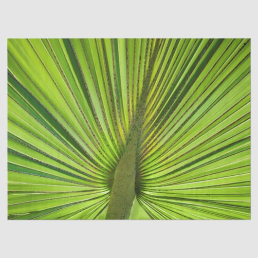 Papier Mousseline Vert tropical (Recto)