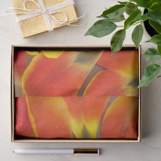 Papier Mousseline Vibrant Tulipe Orange Pétale Photographie Toute Oc (Cadeau)