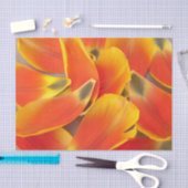 Papier Mousseline Vibrant Tulipe Orange Pétale Photographie Toute Oc (Artisanat)