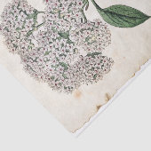 Papier Mousseline Viburnum Botanique Gold Dragonfly White Flower (Détail)