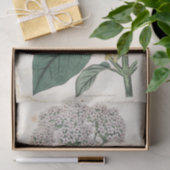 Papier Mousseline Viburnum Botanique Gold Dragonfly White Flower (Cadeau)