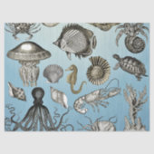 Papier Mousseline Vie maritime (Recto)