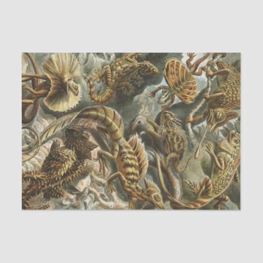 Papier Mousseline Vieille illustration Lacertilia de mode d'Ernst (Recto)