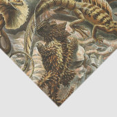 Papier Mousseline Vieille illustration Lacertilia de mode d'Ernst (Détail)