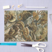 Papier Mousseline Vieille illustration Lacertilia de mode d'Ernst (Artisanat)