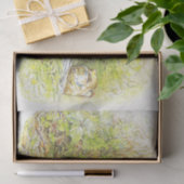 Papier Mousseline Vieux M. Prickly Pin (Hérisson) (par Beatrix Potte (Cadeau)