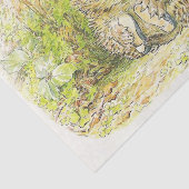 Papier Mousseline Vieux M. Prickly Pin (Hérisson) (par Beatrix Potte (Détail)