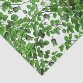 Papier Mousseline Vigne verte de lierre botanique (Détail)