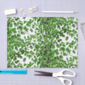 Papier Mousseline Vigne verte de lierre botanique (Artisanat)