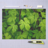 Papier Mousseline Vignes vertes (Artisanat)