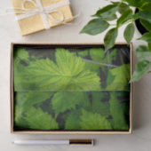 Papier Mousseline Vignes vertes (Cadeau)