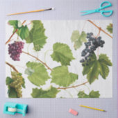 Papier Mousseline Vignoble de raisins Ile grecque méditerranéenne (Artisanat)