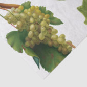 Papier Mousseline Vignoble de raisins Ile grecque méditerranéenne (Détail)