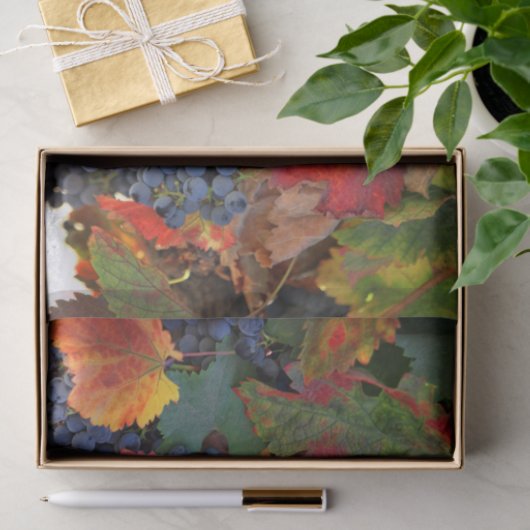 Papier Mousseline Vignoble étonnant (Cadeau)