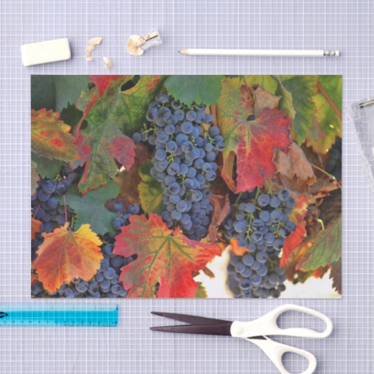 Papier Mousseline Vignoble étonnant (Artisanat)