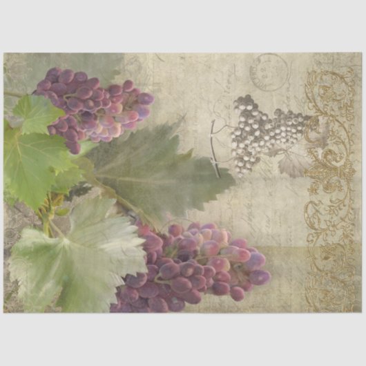 Papier Mousseline Vins rouges Script Vignoble vignoble Découpage (Recto)