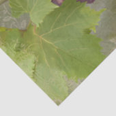 Papier Mousseline Vins Vignoble Vignoble Script Découpage Art (Détail)