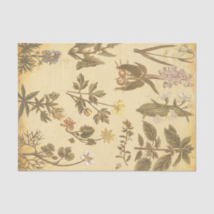 Papier Mousseline Vintage Antique Fleurs Assortiment Découpage