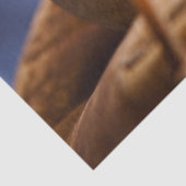 Papier Mousseline Vintage Baseball (Détail)